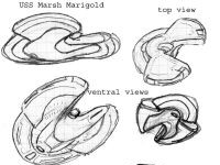 USS Marsh Marigold views